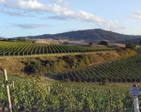 Casa de hóspedes La Camera Di Brunella Montalcino